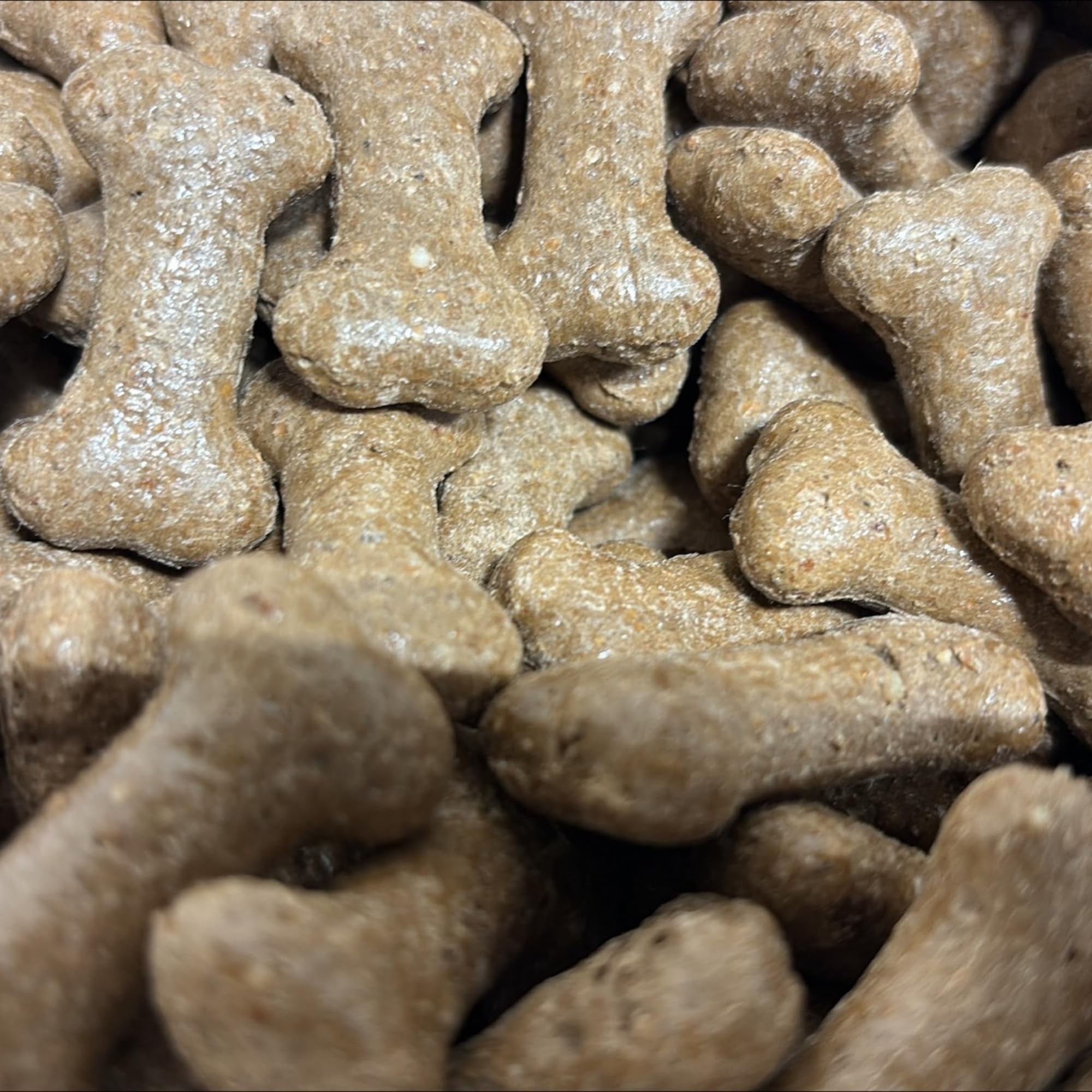 5kg Pointer Gravy Bones Dog Treats, Beef