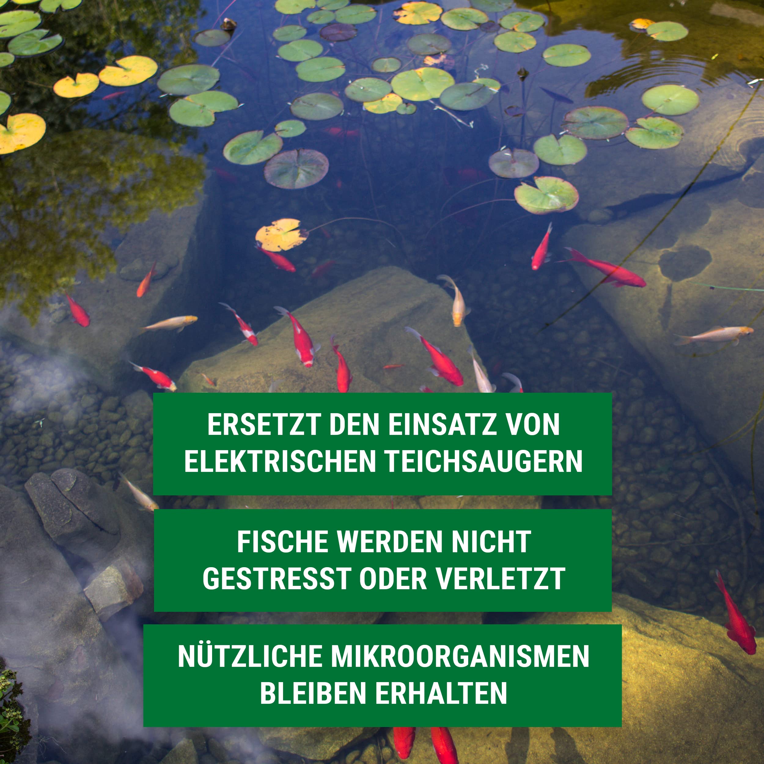 FIVE ELEMENTS Bio-Teichschlammentferner | 2,5 L | ideal für Frühjahr | 2026: Verbesserte Wirkung | Teichwasser-Klärung | flüssig