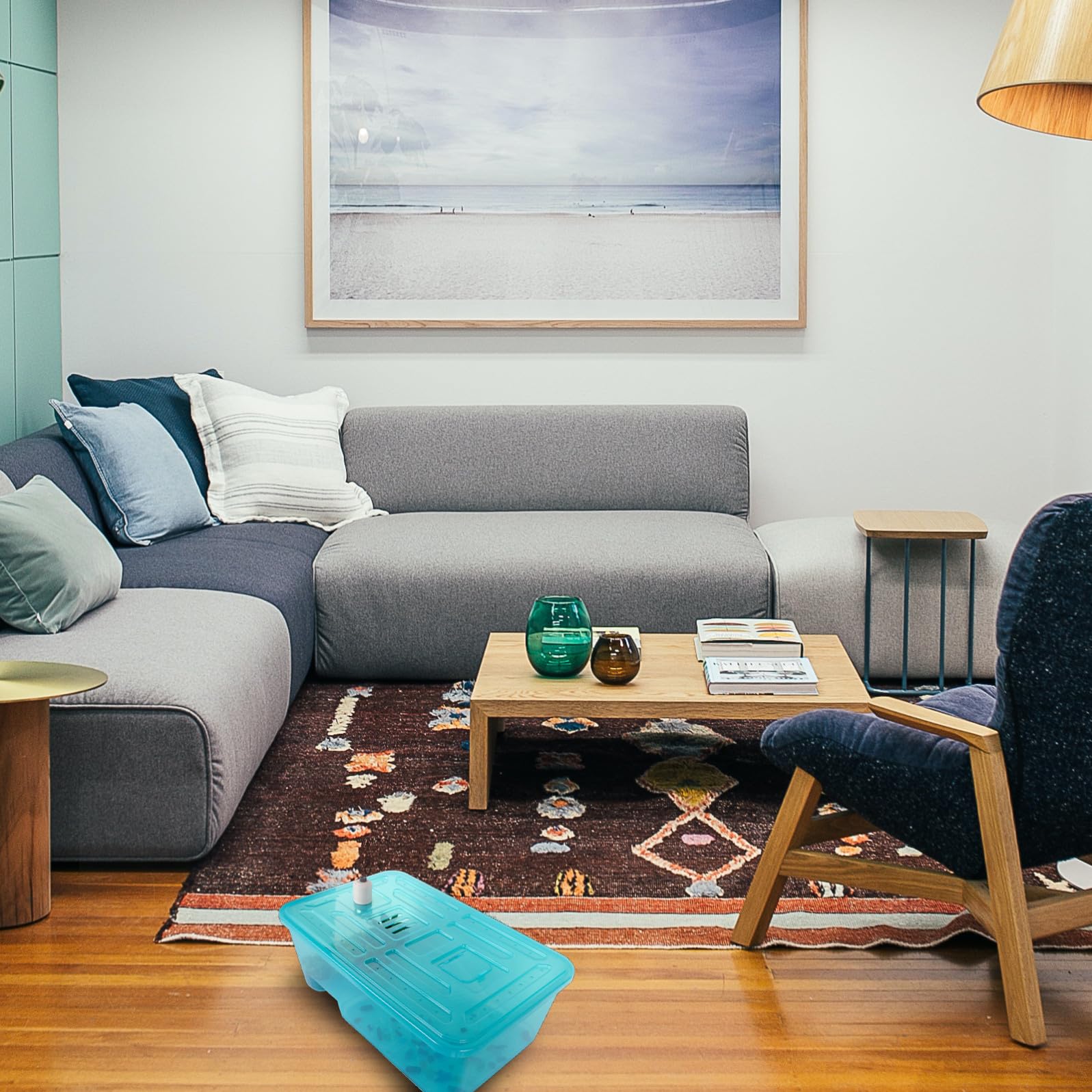 TEHAUX Terrario per Tartarughe di Terra in Plastica Blu con Pendenza Integrata e Funzione di Contenimento Acqua per Rettili Domestici