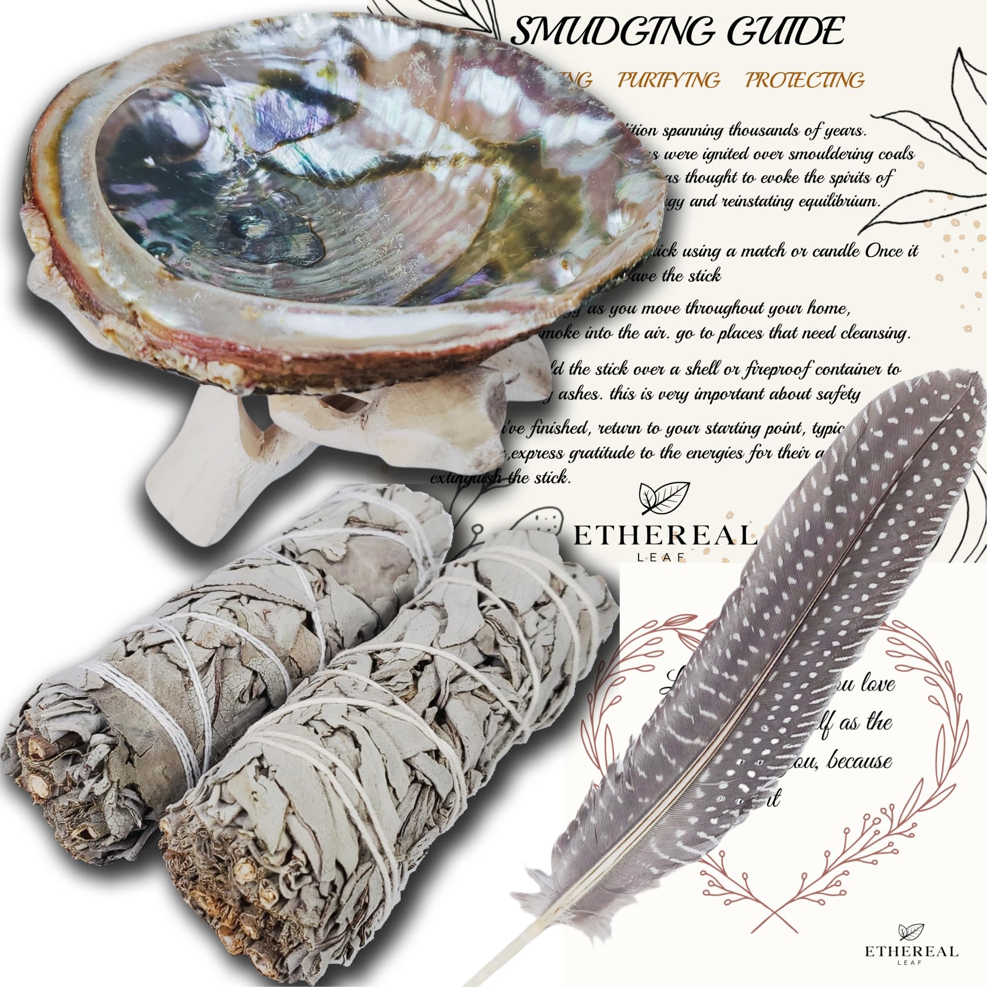 5 Pack Sage Sticks Smudge Kit - White Sage with Abalone Shell Wooden Stand Feather- Handcrafted Incense Sticks Gift Package for Cleansing Relaxation Meditation, Natural, 2WHKITSM
