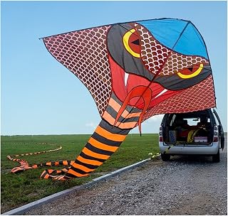 Kite 20/40/100m Cobra Kite, Beach Kite 3D Kite, Large-Scale Creative and Interesting Three-Dimensional Kite, Giant Kite Kites Easy to Fly (Color : 100m)
