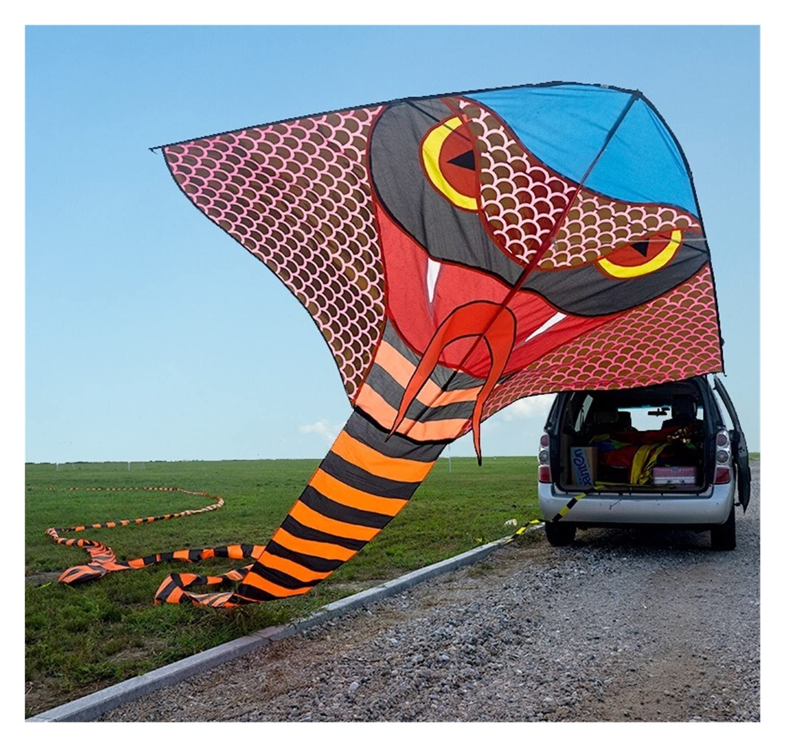 Amazon.co.jp: カイト 20/40/100m コブラ凧、ビーチ凧 3d 凧、大