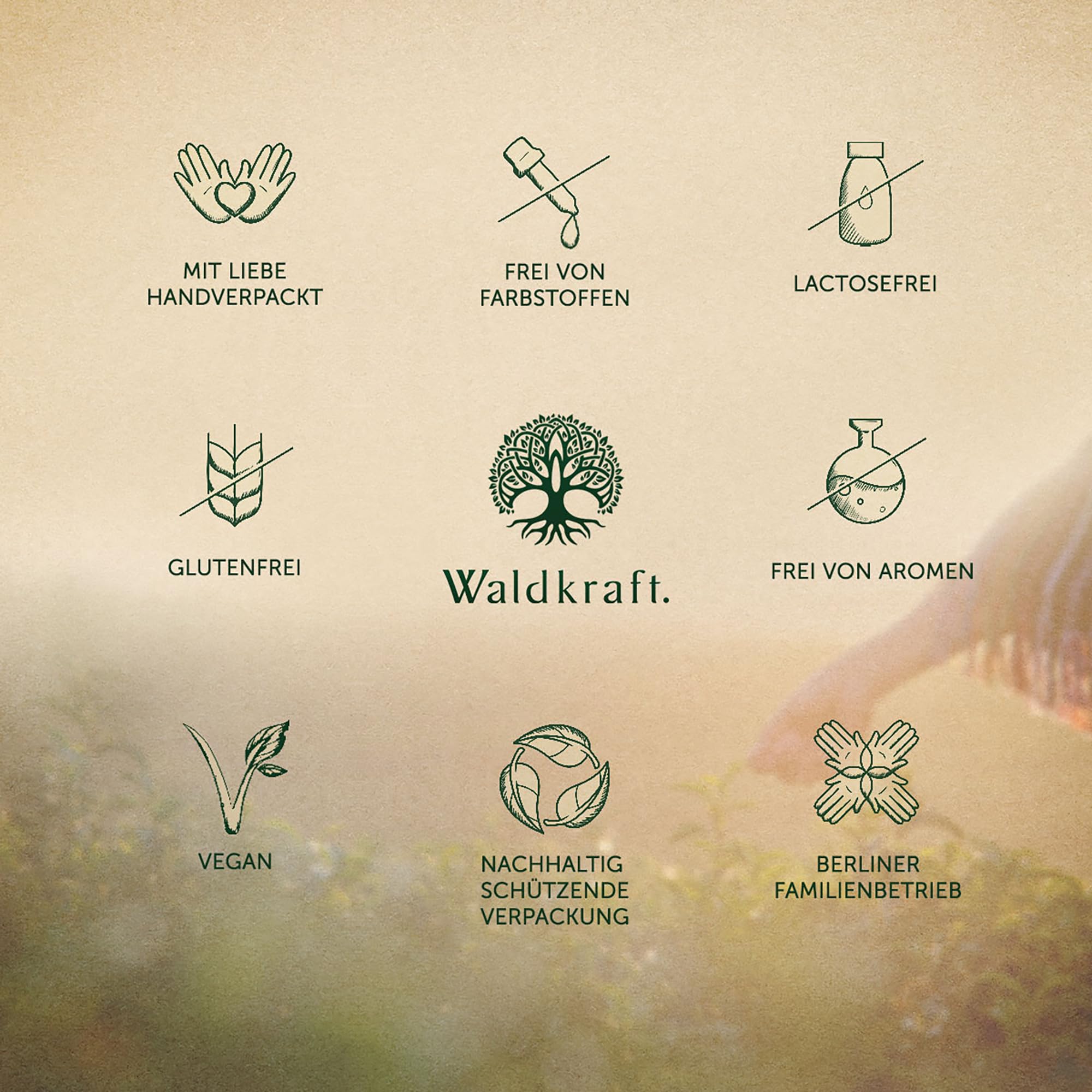 Waldkraft Borax + MSM Kapseln | 99,9% ig reines Natriumtetraborat und OptiMSM® | Lebensmittelqualität | Nachhaltig verpackt in Braunglas | Exklusiv bei Waldkraft | 120 pflanzliche Kapseln