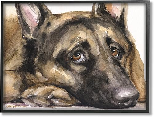 Stupell Industries Perro pastor alemán cansado que descansa cabeza en pata, diseño de George Dyachenko