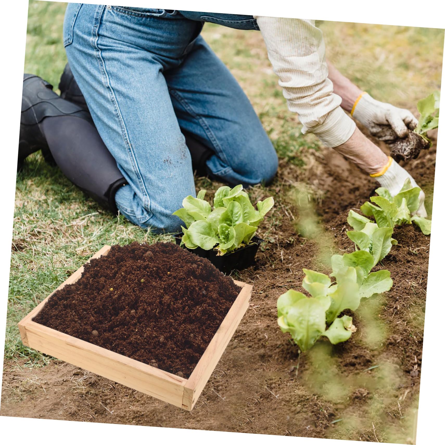 Milisten Tamis à Terre pour Jardin Acier Inoxydable avec Maille Bois pour Cailloux Terre Et Compost Outil De Jardinage