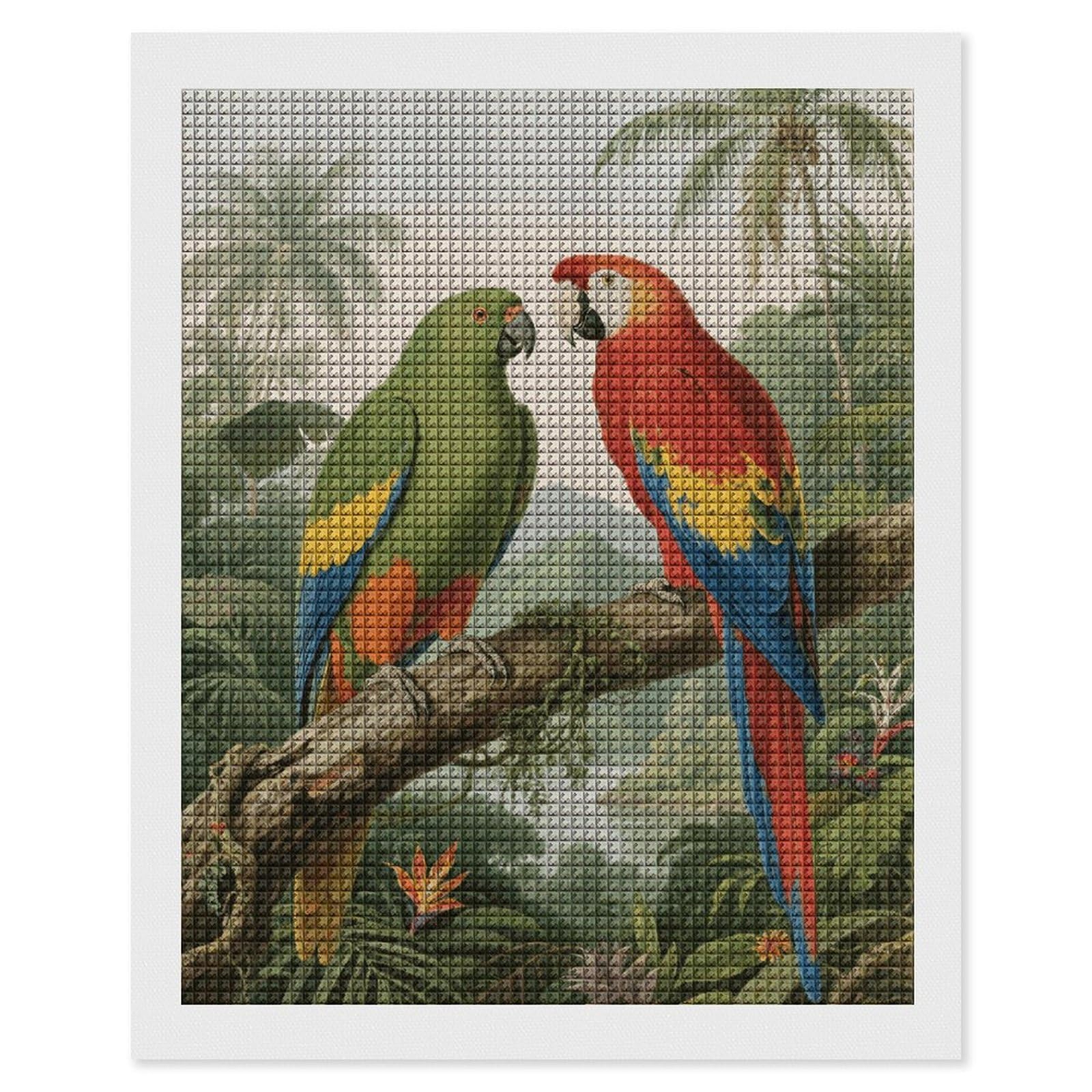 FodPand Parrot 5D Diamond Painting Kits for Adults Beginners Full Drill Square Diamond Dots Pictures Gem Art Supplies for Home Wall Room Decoration DIY Craft Set Gift 16x20
