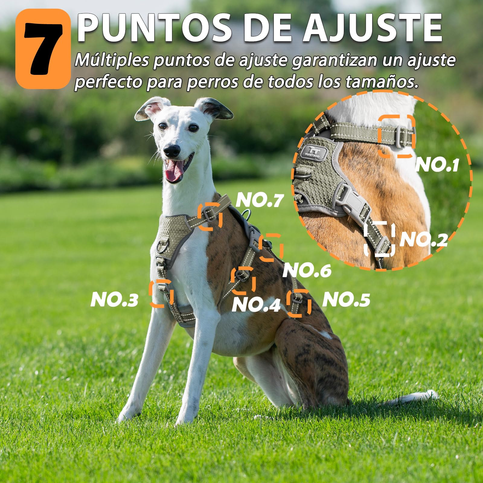 Huntboo Arnes Antiescape Perro Pequeño Mediano Grande, Arnés Antitirones para Perros, Reflectante, Duradero, Chaleco Ajustable y Transpirable para Paseos y Entrenamientos (Verde Militar,M)