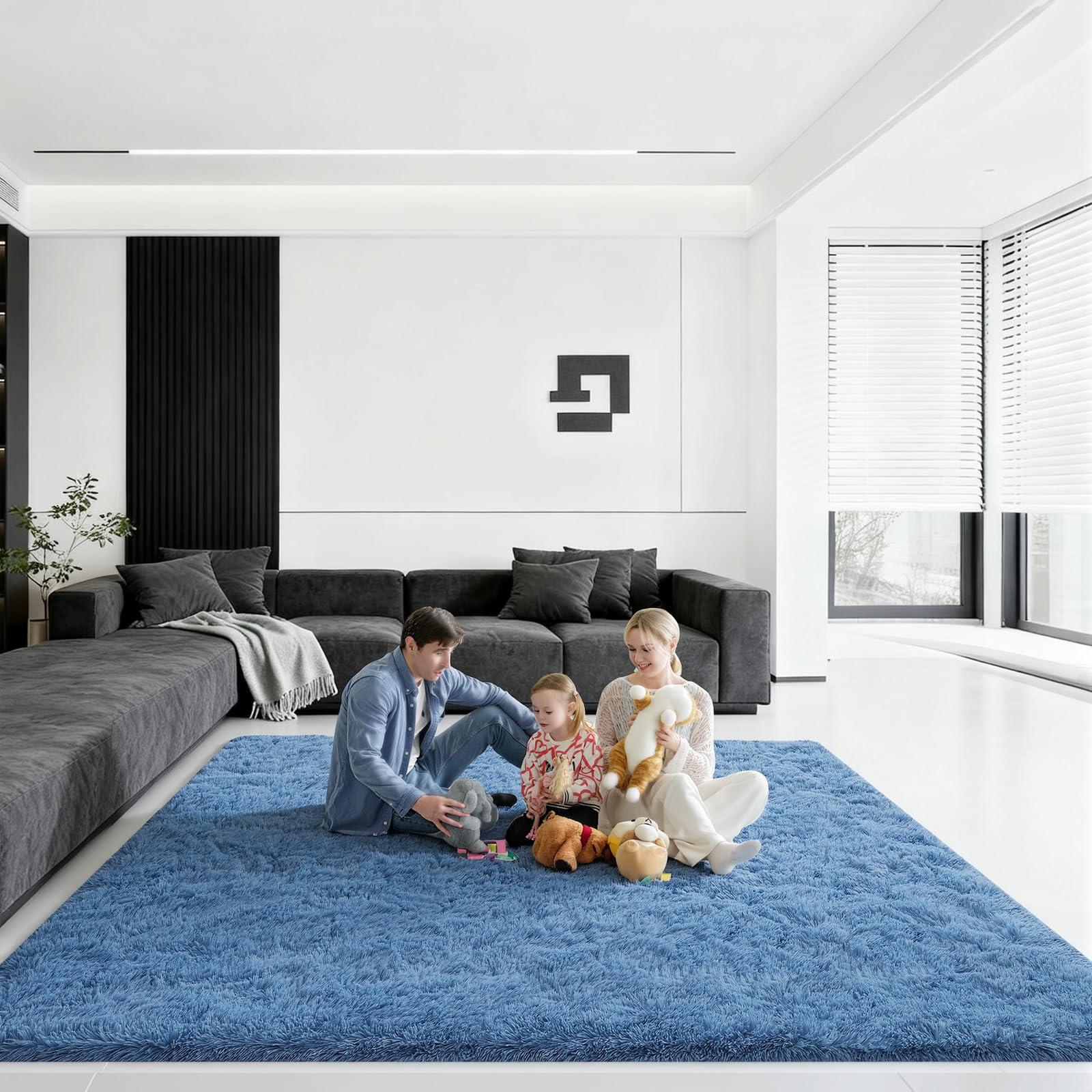 Ehayx 8x10 Fluffy Area Rug, Blue
