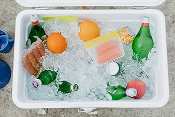 Amazon.co.jp: igloo(イグルー) ステンレスクーラー #44669 シルバー