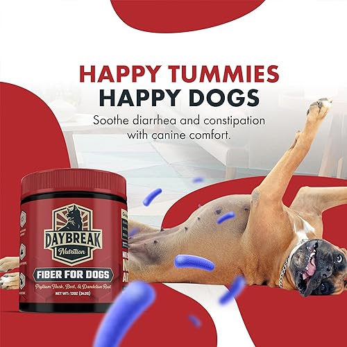 Miniatura 5 de Daybreak Nutrition Fibra para perros cáscara de psyllium, raíz de remolacha, raíz de diente de león y prebióticos para ayudar a aliviar la diarrea,