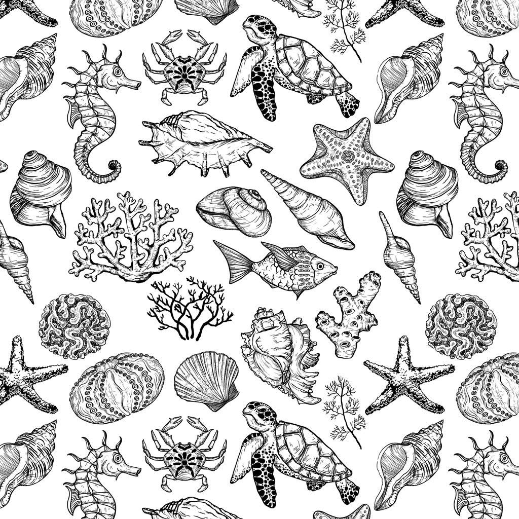 Ceramic Decals - Ocean Mix Creature (Black, 19 x 13 Inch)