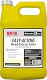 Fast-Acting Weed & Grass Killer Herbicide, Spray, 1-gallon