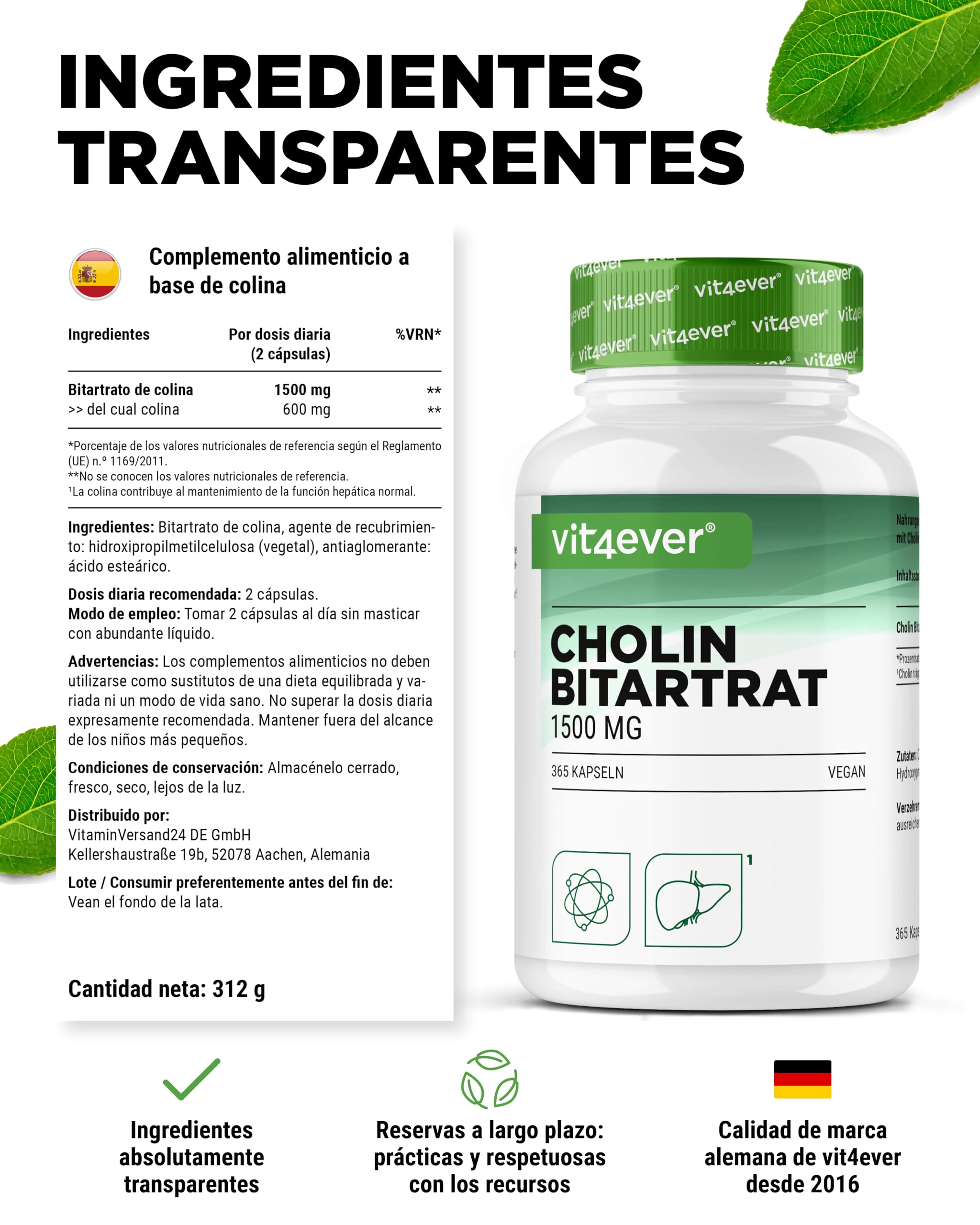 Cápsulas de colina – 365 cápsulas con 1500 mg de bitartrato de colina por dosis diaria – más de 6 meses de suministro – hígado, homocisteína y metabolismo de las grasas – natural, alta dosis, vegano