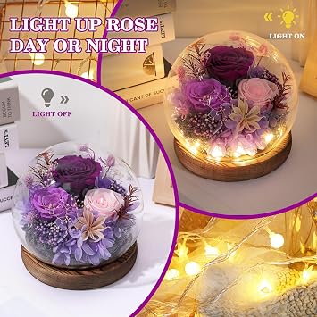 FIACO Gifts for Mom Flowers for Delivery Birthday Gifts for Women Grandma Forever Preserved Eternal Rose in Glass Dome Mother Days Valentines Anniversary for Girlfriend Wife Her, Purple