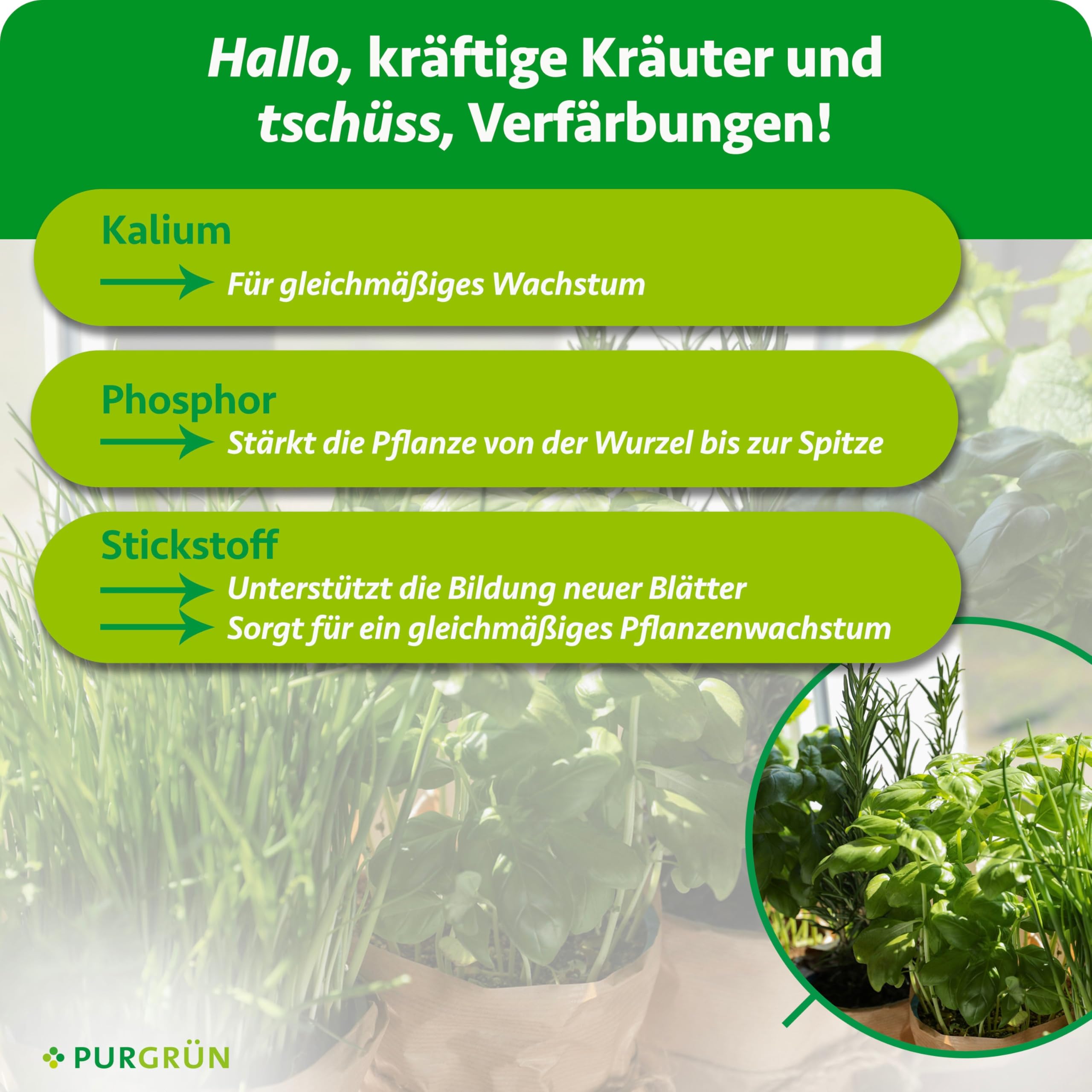 Bio-Kräuterdünger 1 Liter – Für ein intensives Aroma – Premium-Flüssigdünger für den Bio-Anbau – Extra Kalium für gesundes Kräuter – Ergiebiges Konzentrat für 100 Liter Gießwasser