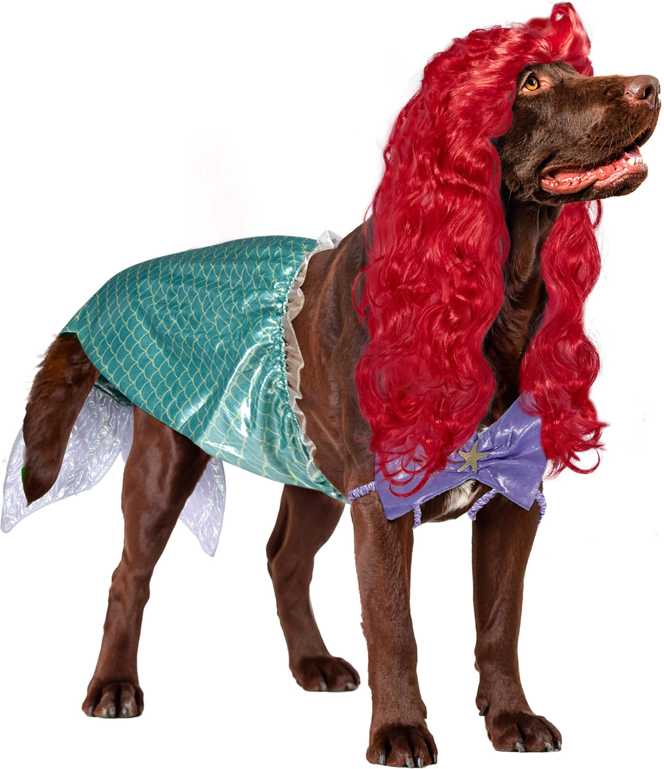 Rubie's Disney Princess Pet Costume, Ariel, XX-Large