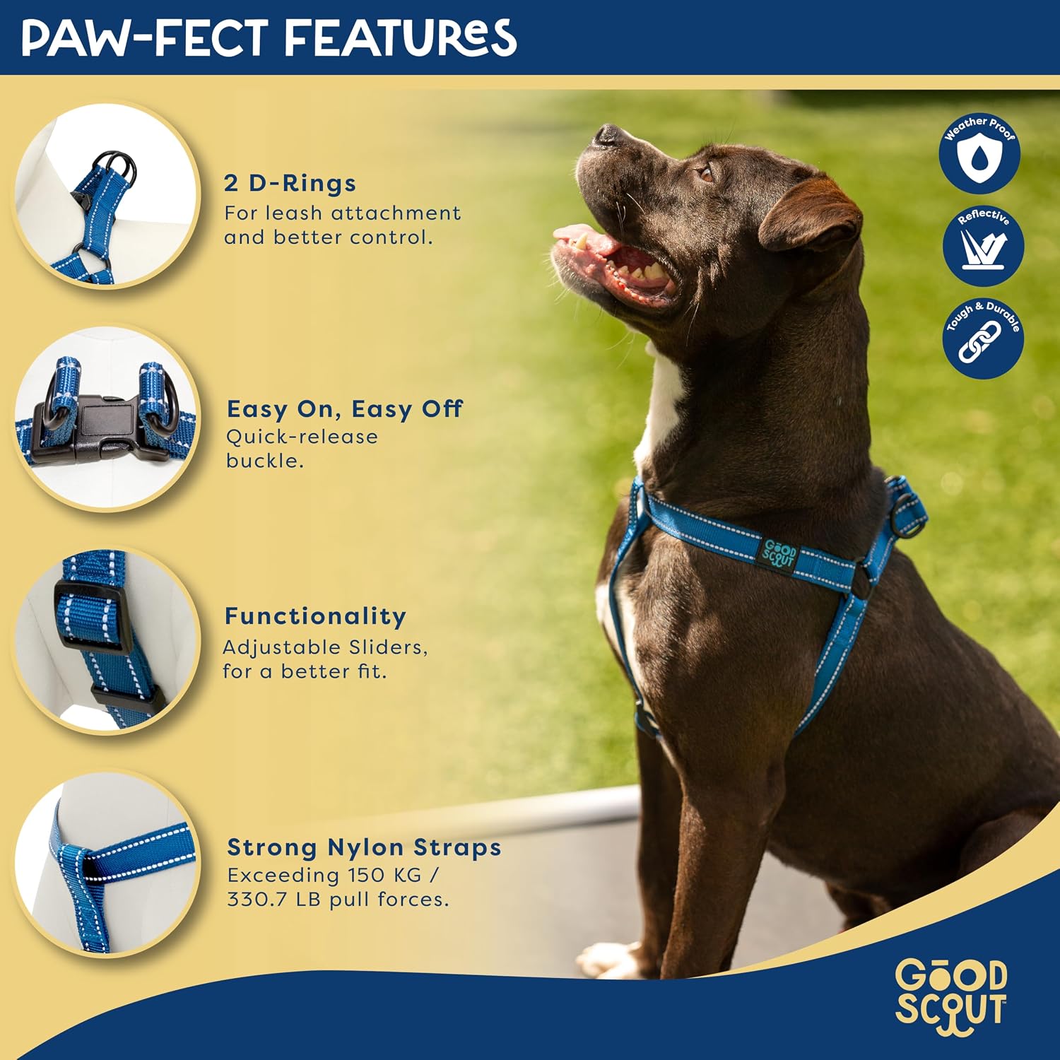 Good Scout Dog Harness Medium Sized Dog, Heavy Duty Durable Dog Body Harness for Easy Walking & Training, Adjustable for Comfortable & Safe Fit, Double D-Ring for Quick Leash Attachment, Blue