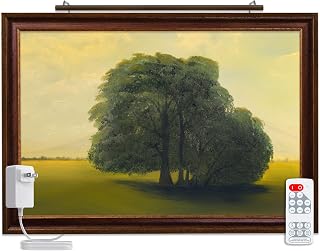 Plug-in Vision Series LED Fine Art Light
