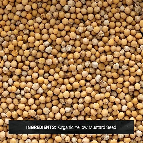 Miniatura 2 de FRONTIER - Semillas de mostaza amarillas enteras orgánicas a granel, 15.98 oz