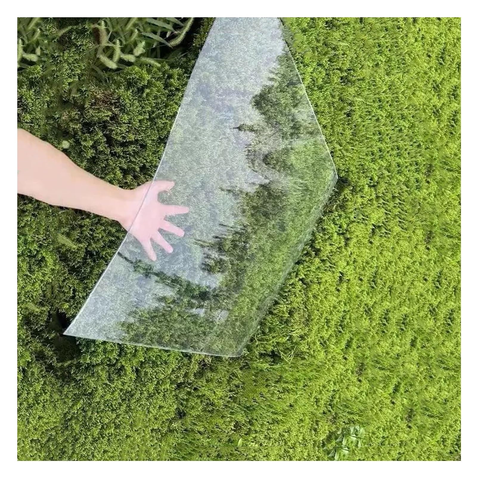 Plancha Policarbonato, Tapajuntas Curvos Fáciles de Cortar, Invernadero Policarbonato, para Marquesinas Lluvia Y Frío Revestimiento (0.6x8m/2.0x26.2ft)