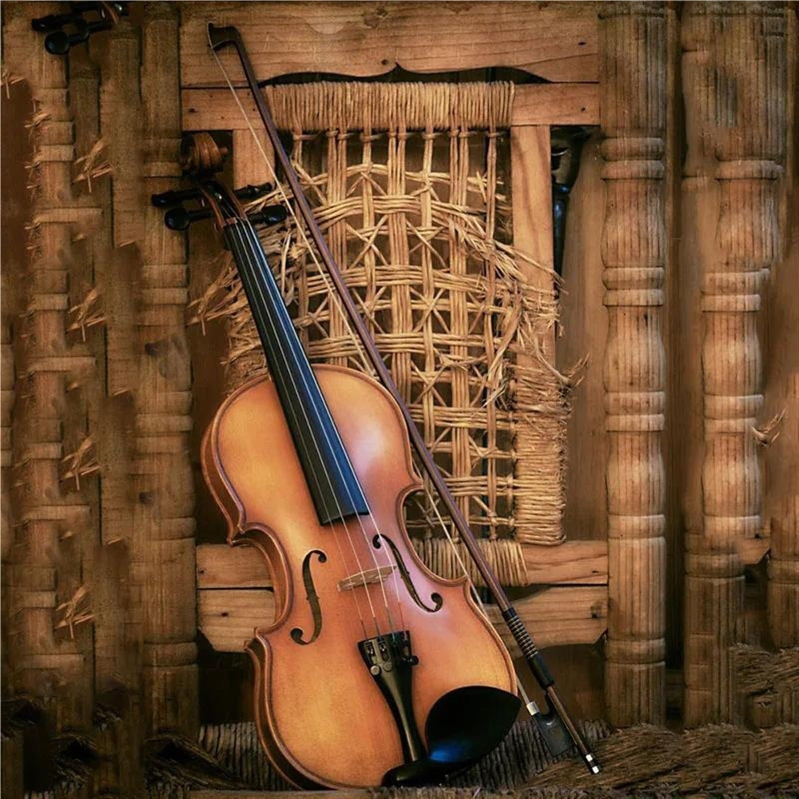Arco di violino Arco per violino Accessori per violino adatti a negozi di violini Scuole di musica per principianti Strumenti musicali(1/2)