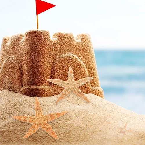 Miniatura 8 de SEWACC 100 piezas de océano, playa, conchas marinas, estrellas de mar, pecera náutica, acuario, decoración de mesa, jarrón disperso para decoración