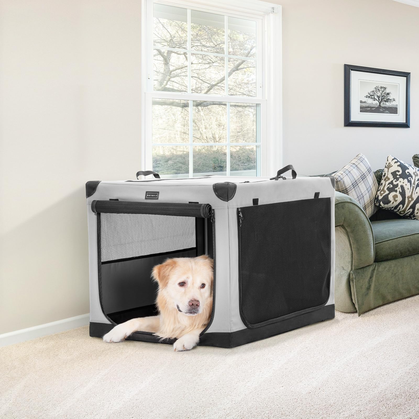 Petsfit Cage pour Chien Pliable, Transport en Tissu avec Cadre en Aluminium Intégré, Caisse Réglable par Tuyau en Spirale, Gris, XL