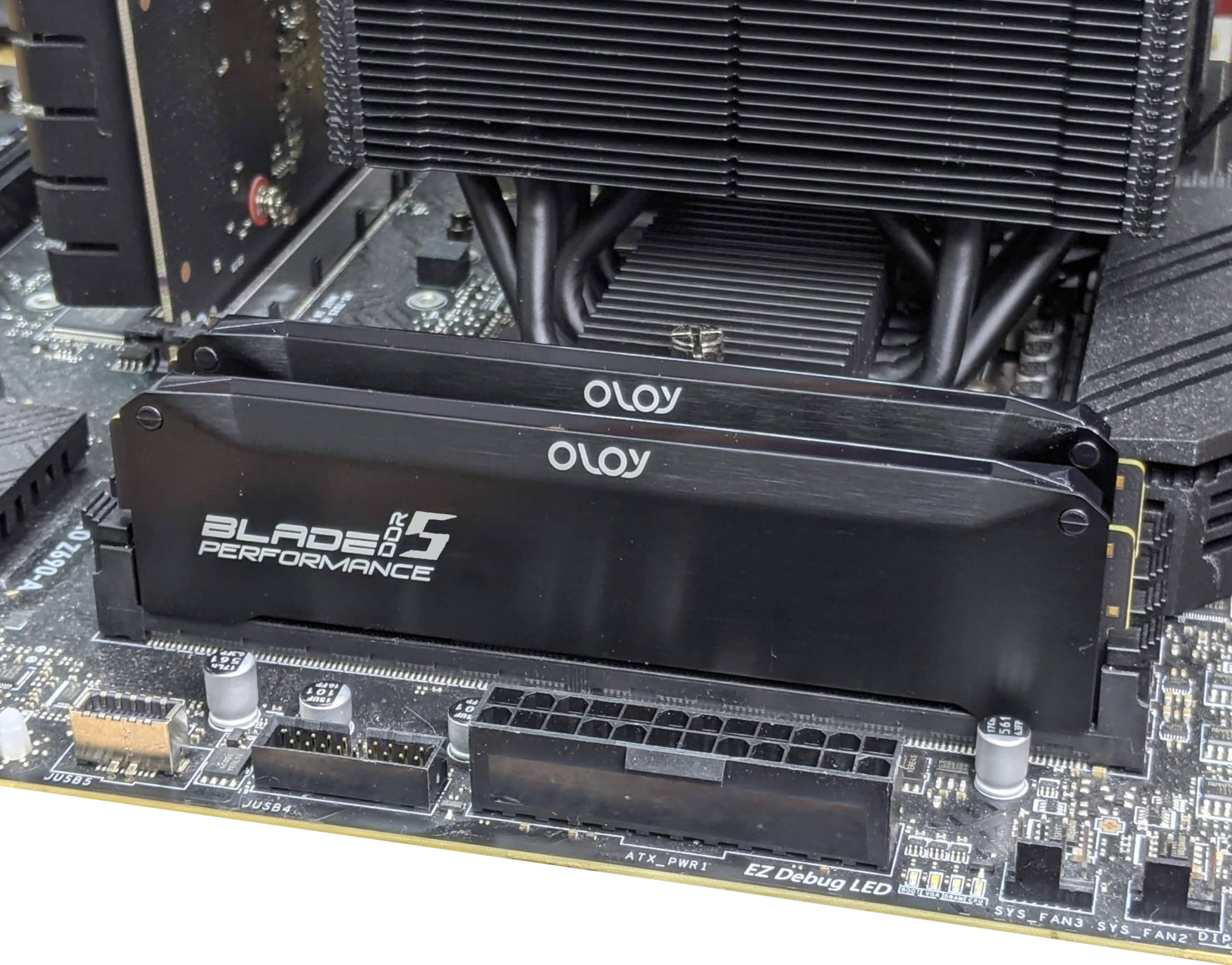 d*1様 OLOy DDR5 RAM 32GB (2x16GB) RGB 560 Amazon.co.jp: OLOy DDR5