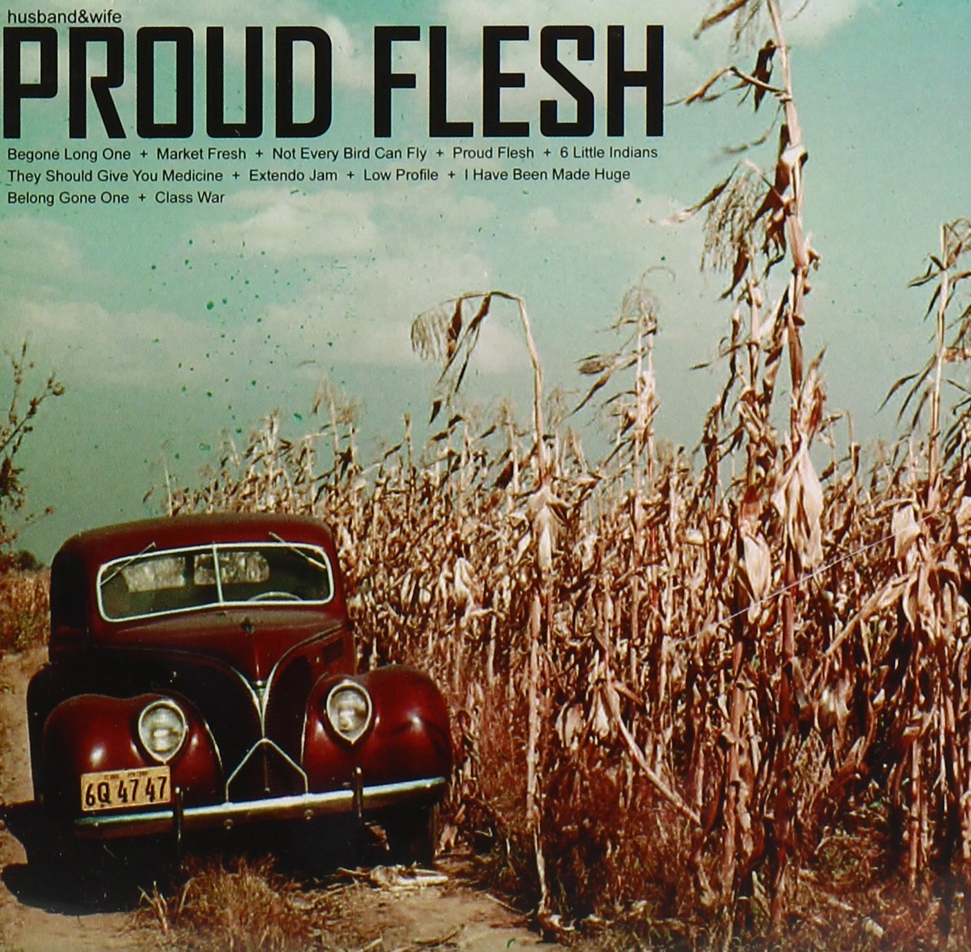 Proud Flesh
