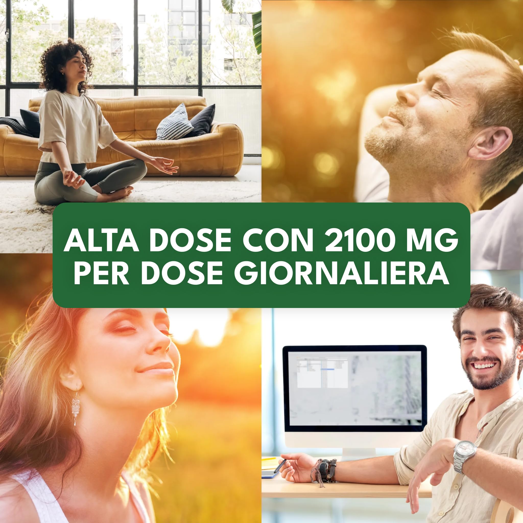 Green Naturals® Reishi Estratto Capsule – Alto dosaggio: 2100 mg con 40% polisaccaridi (840 mg) – Ganoderma lucidum (Ling Zhi) – Vegan – Prodotto in Germania – 180 capsule