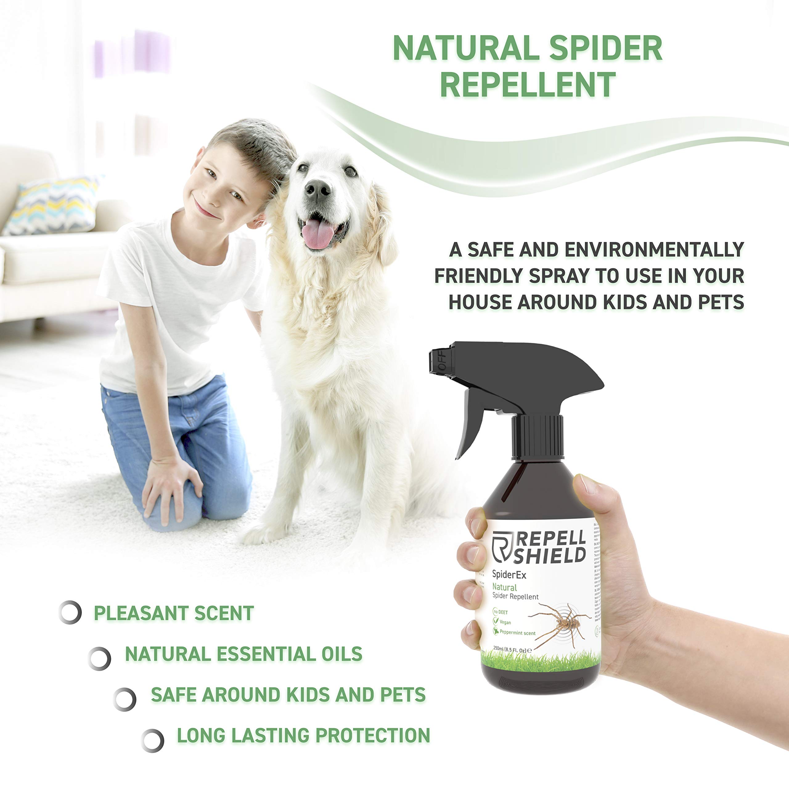 Buy RepellShield Spider Repellent Spray Ideal Anti Spider Spray