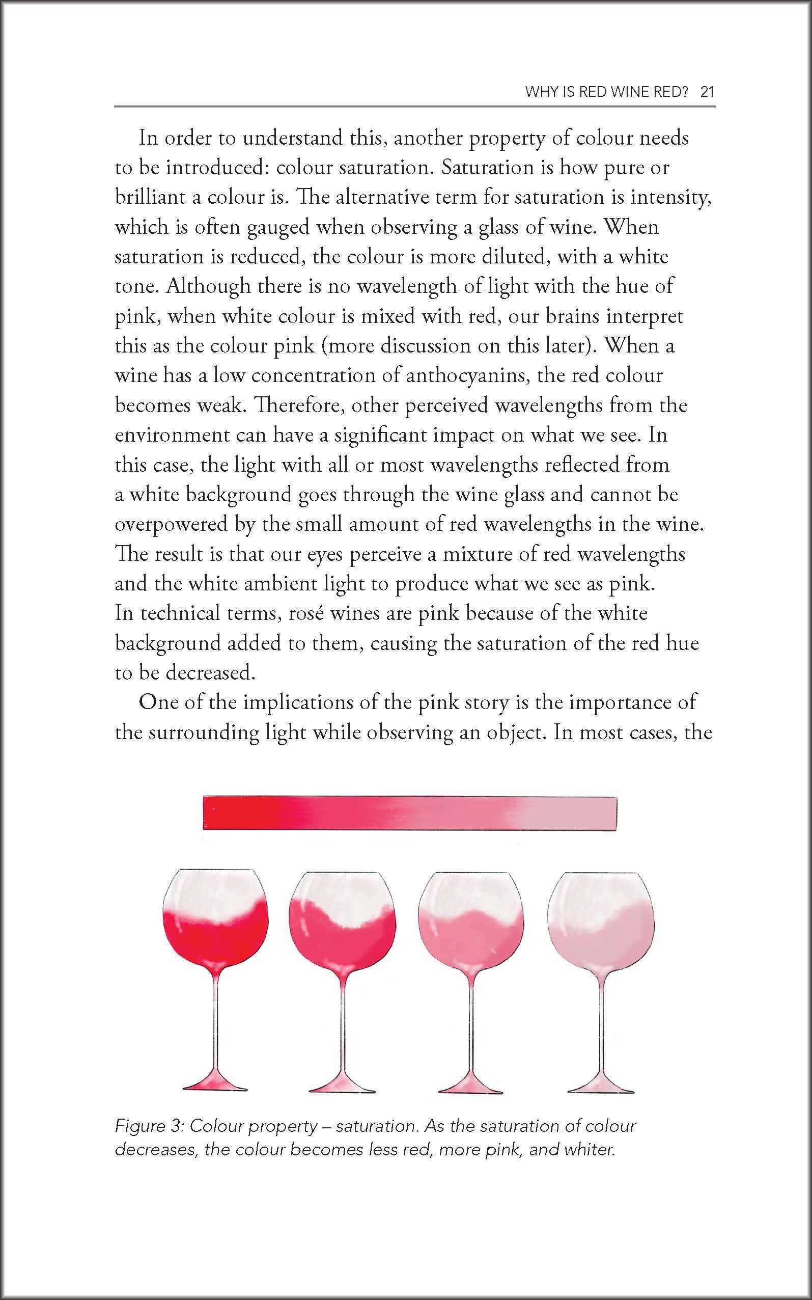 Behind the Glass: The Chemical and Sensorial Terroir of Wine Tasting