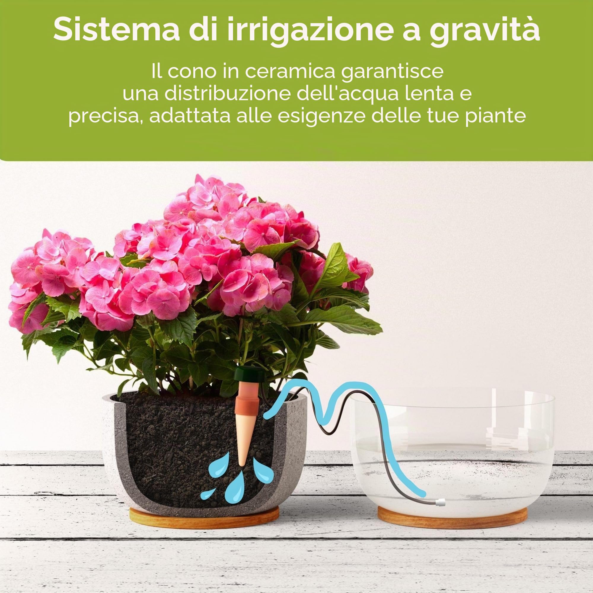 Blumat Coni di irrigazione per piante da interno ed esterno, sistema di irrigazione a goccia automatico per piante in vaso, aiuto per la cura delle piante da interno (confezione da 12)