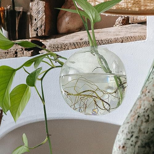 Miniatura 4 de PRETYZOOM Maceta colgante de pared, contenedor de terrarios de montaje en pared para plantas hidropónicas, estaciones de propagación de macetas