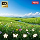 Spring Meadow 4K – Tranquil Nature Ambience Screensaver