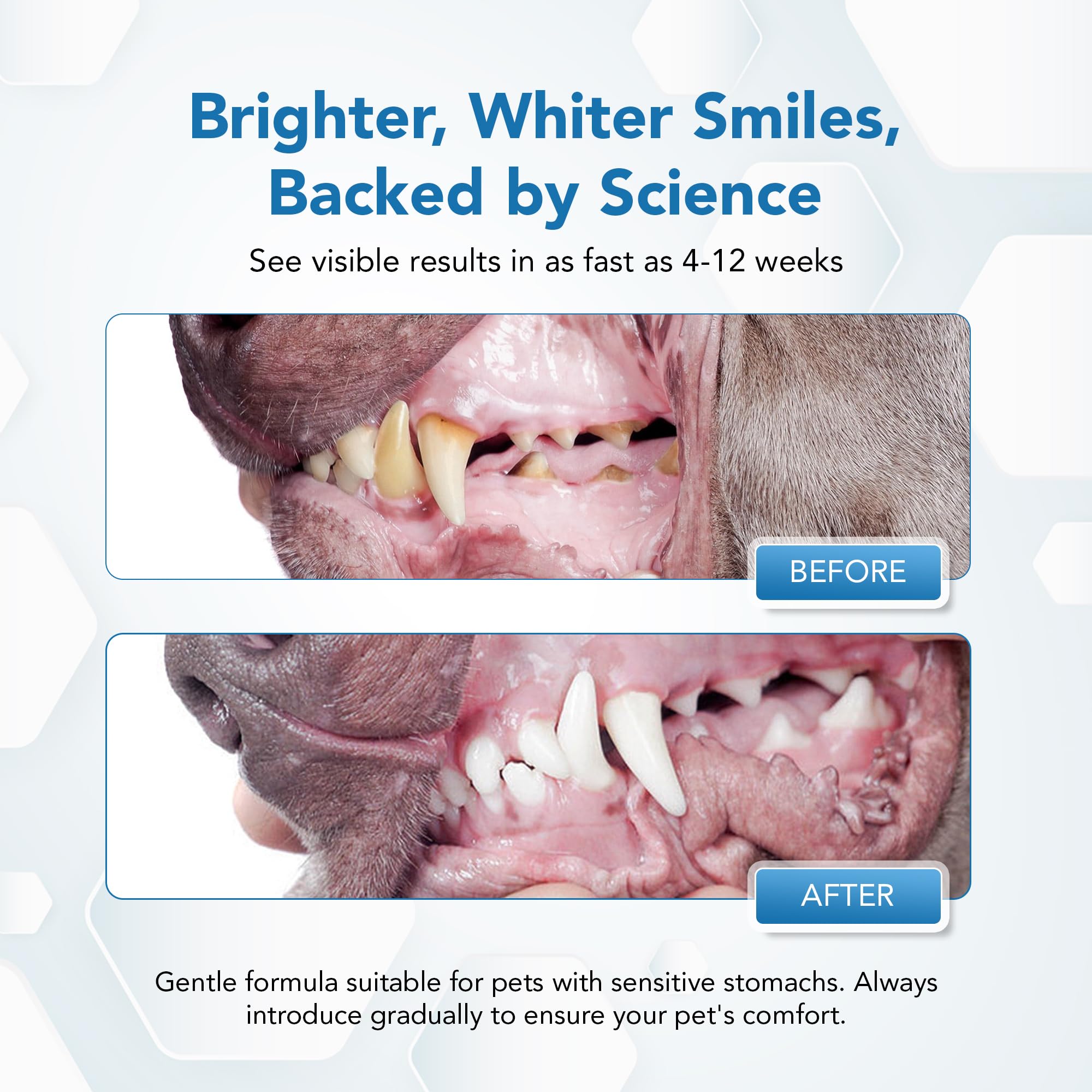 Polvo dental para perros y gatos, removedor de placa y sarro, ambientador de aliento con probióticos, vitaminas y extractos naturales, fácil cuidado dental para perros para todas las