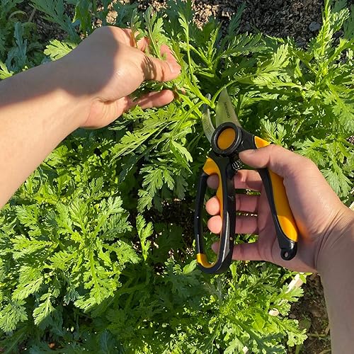 Miniatura 6 de Centurion Podadora de derivación de jardín de acero inoxidable 194 con cierre de presión, para ramas, tallos y árboles, herramienta manual