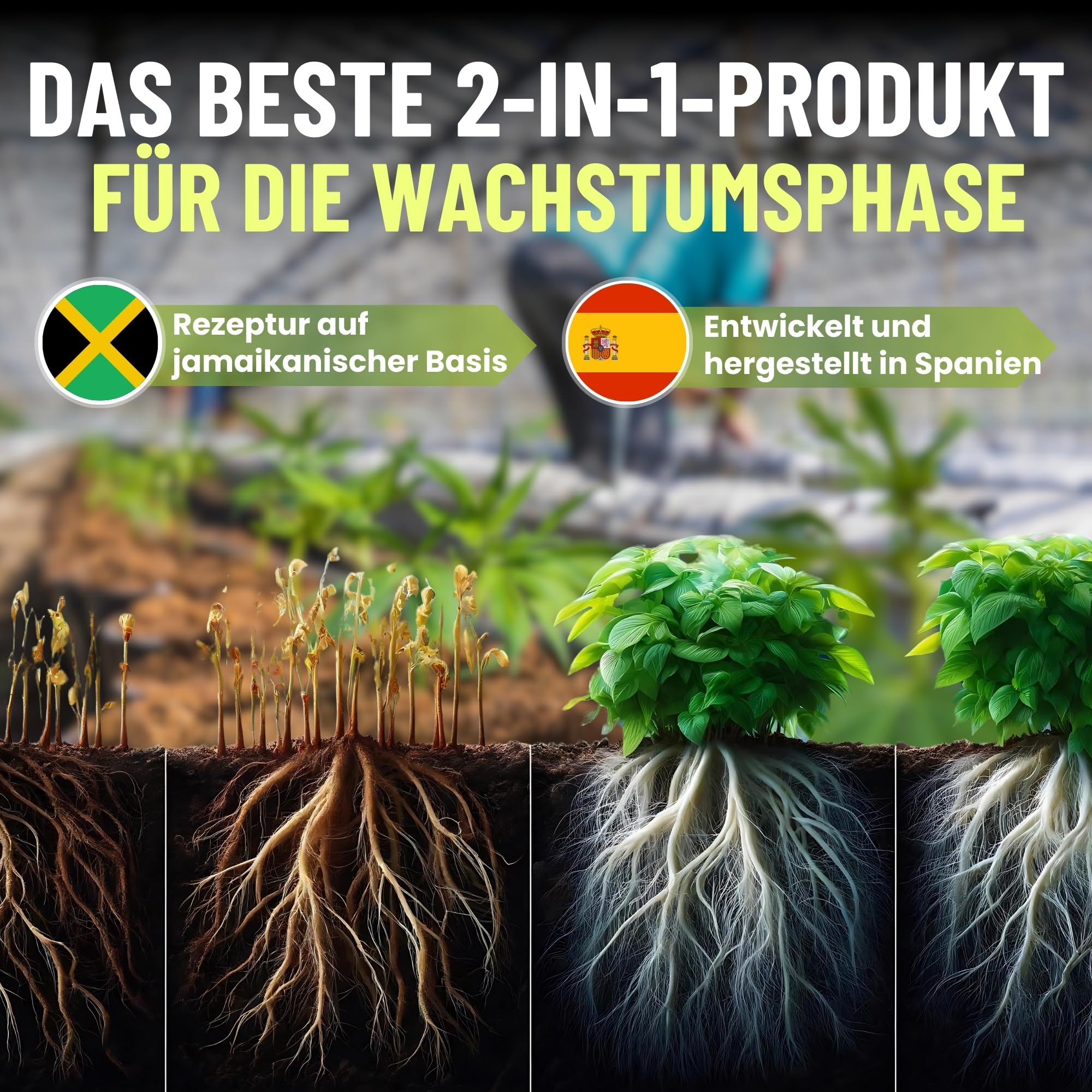 MADAME GROW dünger pflanzen - dünger pflanzen - dünger pflanzen grün - dünger pflanzen grün - substrat pflanzen grün - dünger für pflanzen - universal dünger - blattdünger(GROWTH ACCELERATOR 1L)