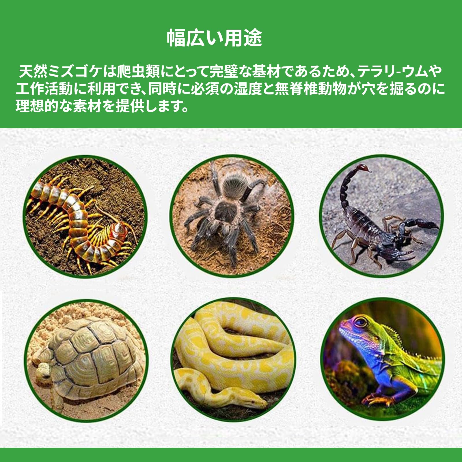 Amazon.co.jp: DEVENTORZ 水苔 - 天然水苔 水苔 圧縮水苔