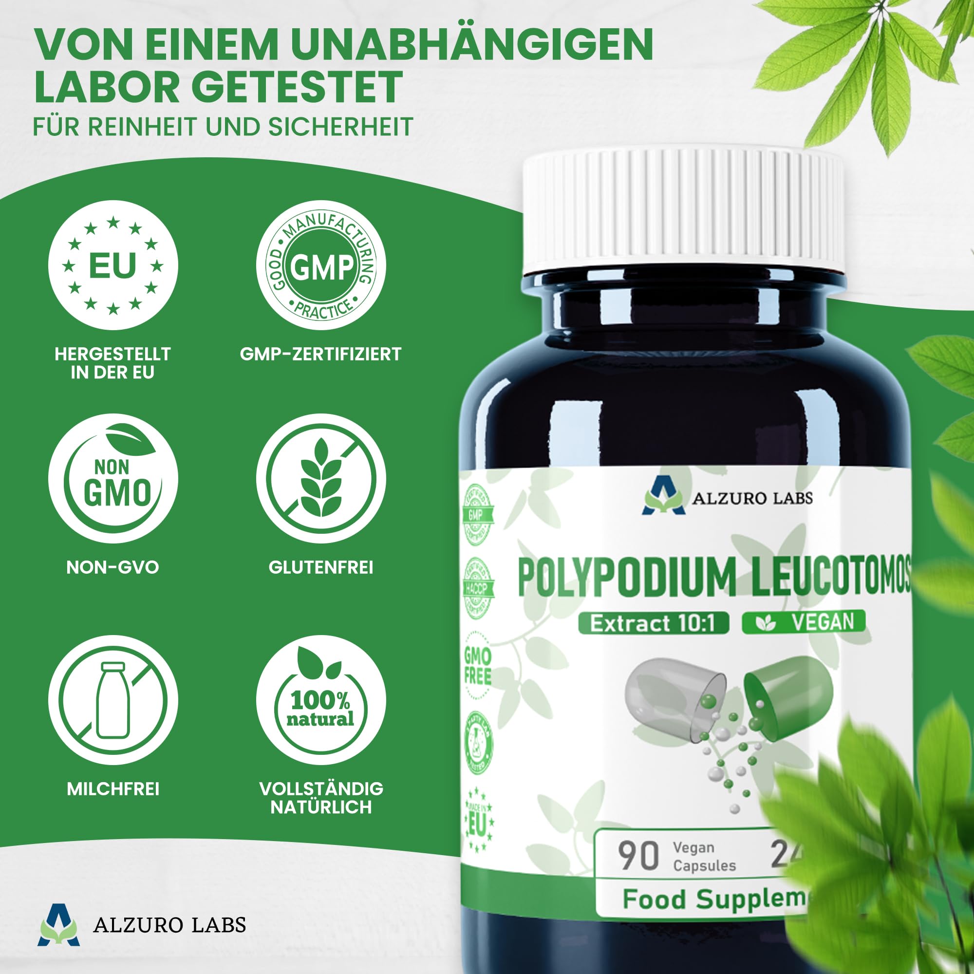 Polypodium leucotomos | 2.400 mg Äquivalent | Hochdosiert 240 mg 10:1 Farn-Extrakt | 90 vegane Kapseln | GMP & Laborgeprüft