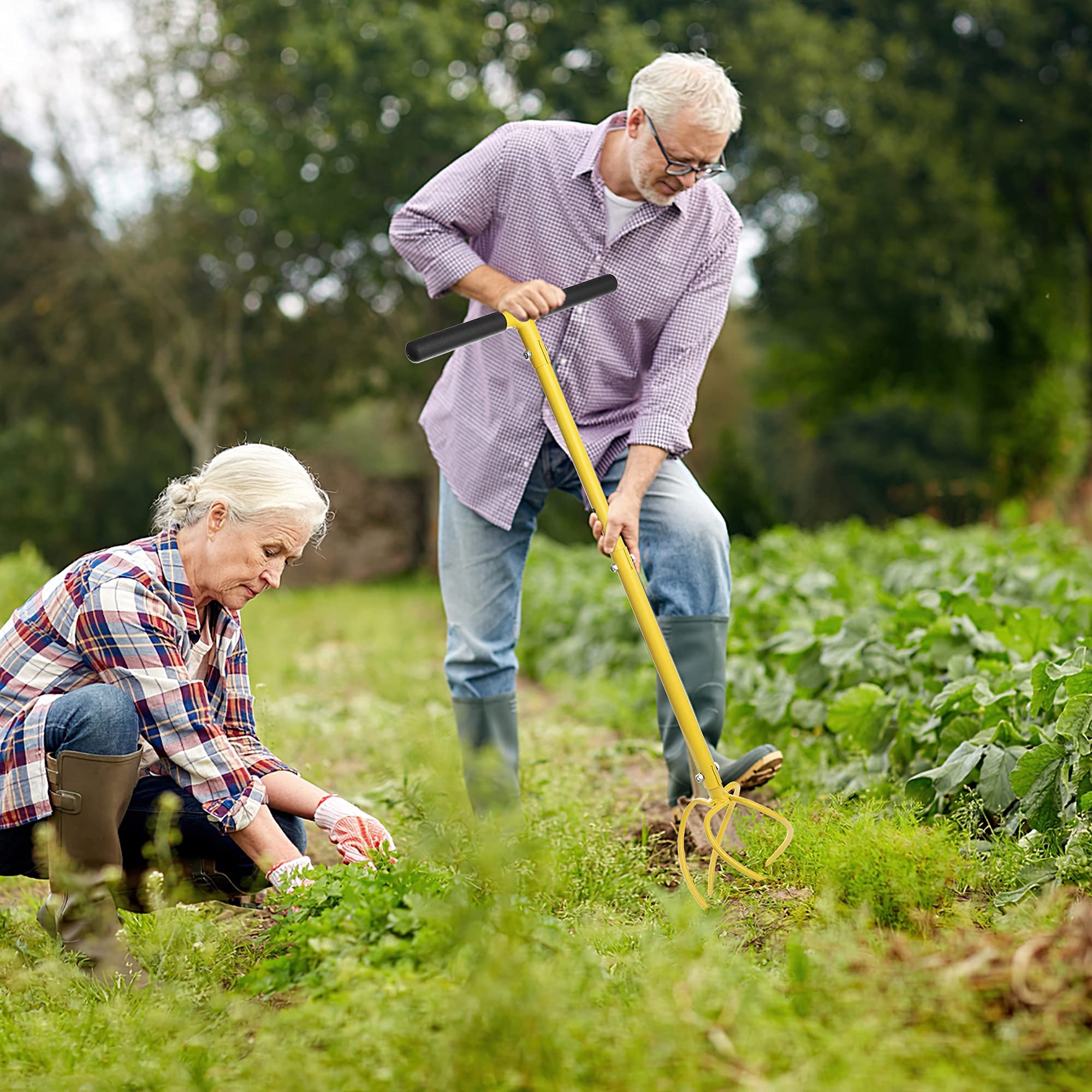 798111_7