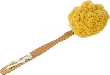 Long-Handled Natural Yellow Sea Sponge Back Scrubber 16.5-Inch Bath & Shower Body Brush