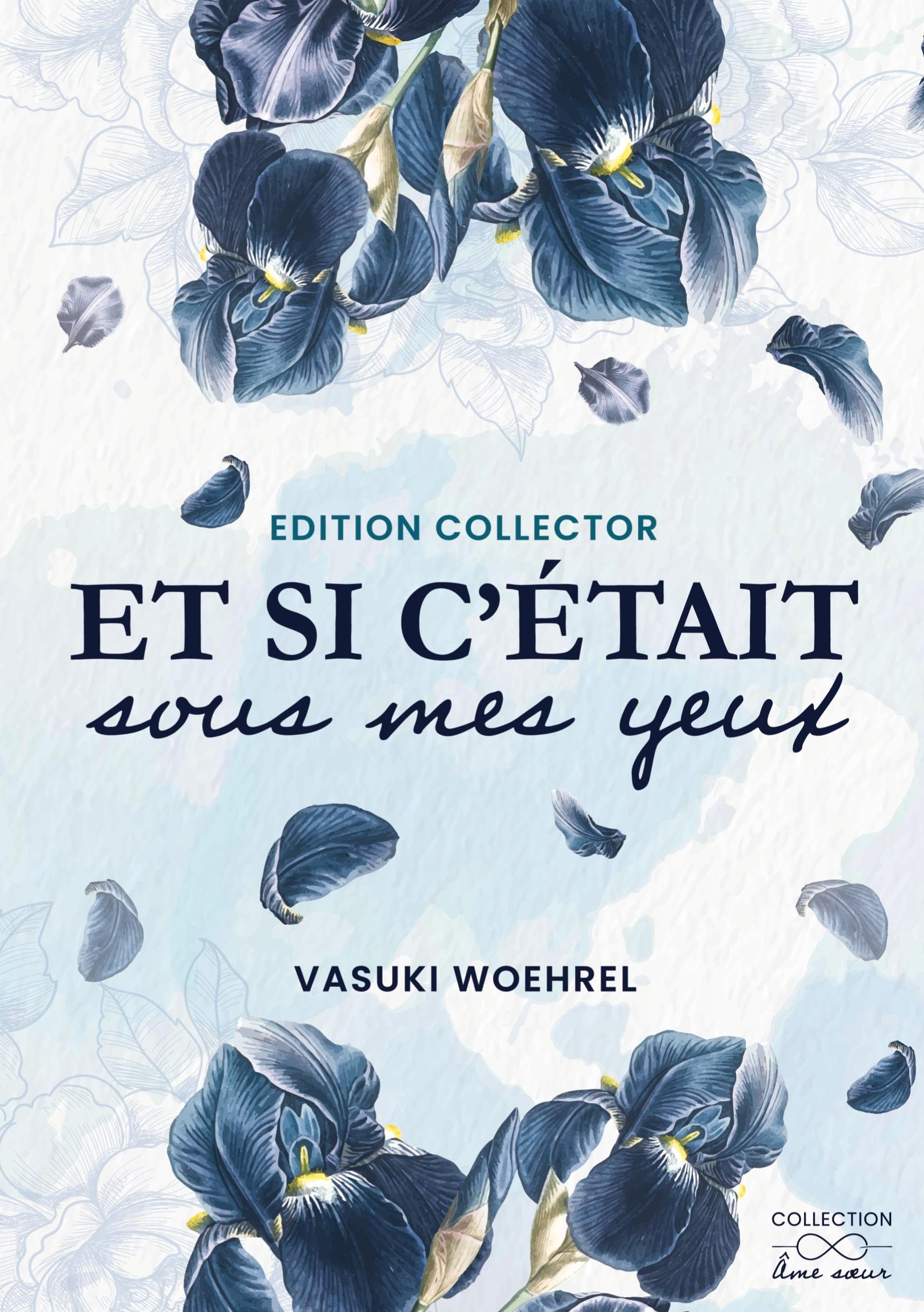 Et si c'était sous mes yeux - Collector: 1