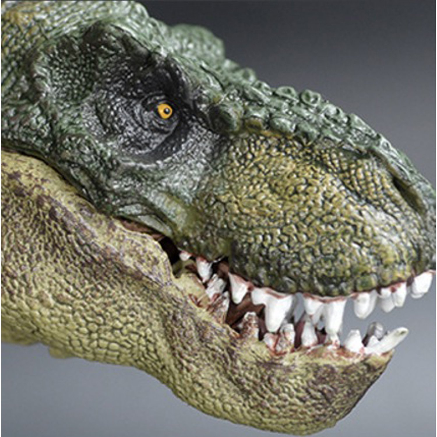 Amazon | ANR 恐竜 フィギュア ティラザウルス トリケラトプス 首長竜