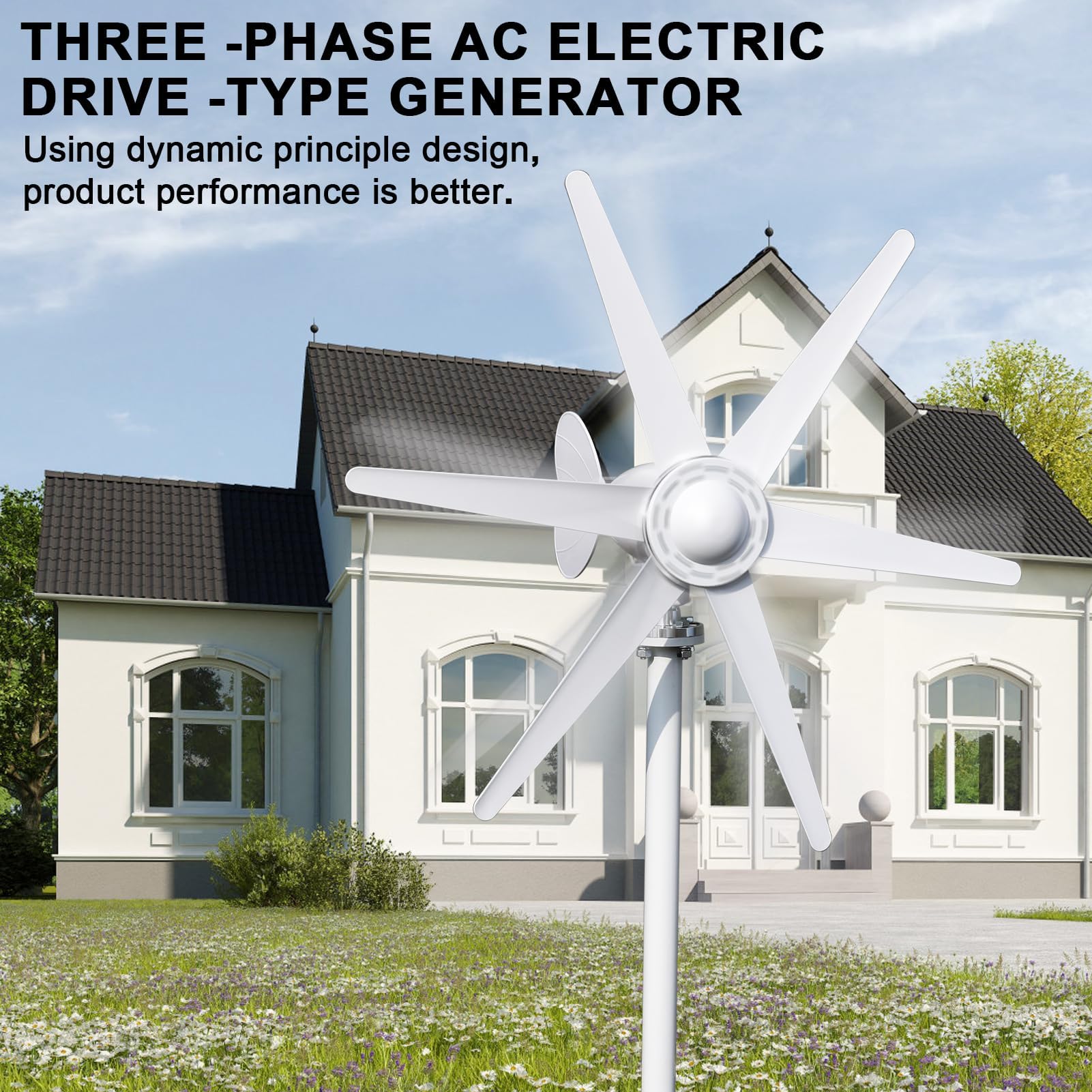 Generatore a turbina eolica da 800 W, kit turbina eolica da 12 V/24 V, generatore di energia eolica professionale a 6 lame con driver, sistema di alimentazione elettromagnetica per la casa