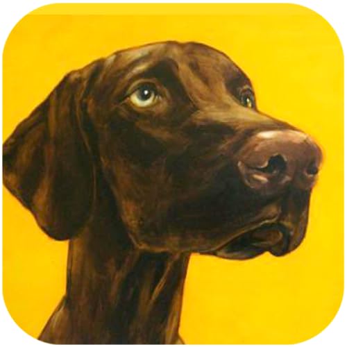BrandonHardwickMaster Dog Training App Free