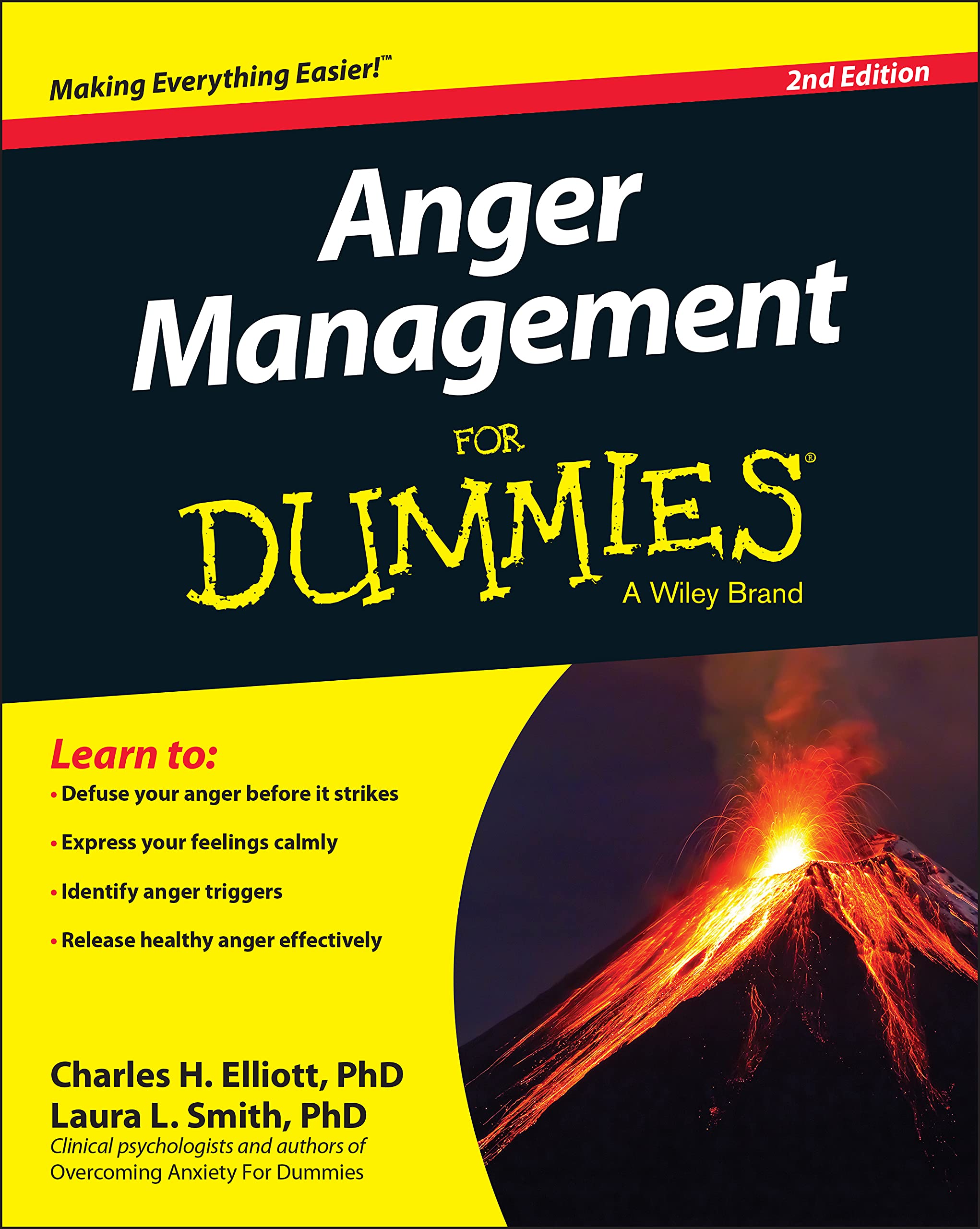 Buy Anger Management for Dummies — BookShops.in