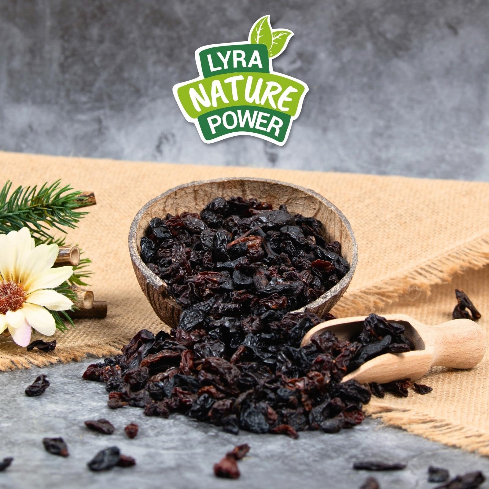 Lyra Pet® 20 kg Rosinen Futterrosinen Wildvögel vitaminreich Vogelfutter