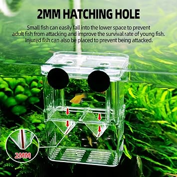 Boxtech Breeding Box for Fish Tank, Aquarium Hatchery Incubator Breeder Box