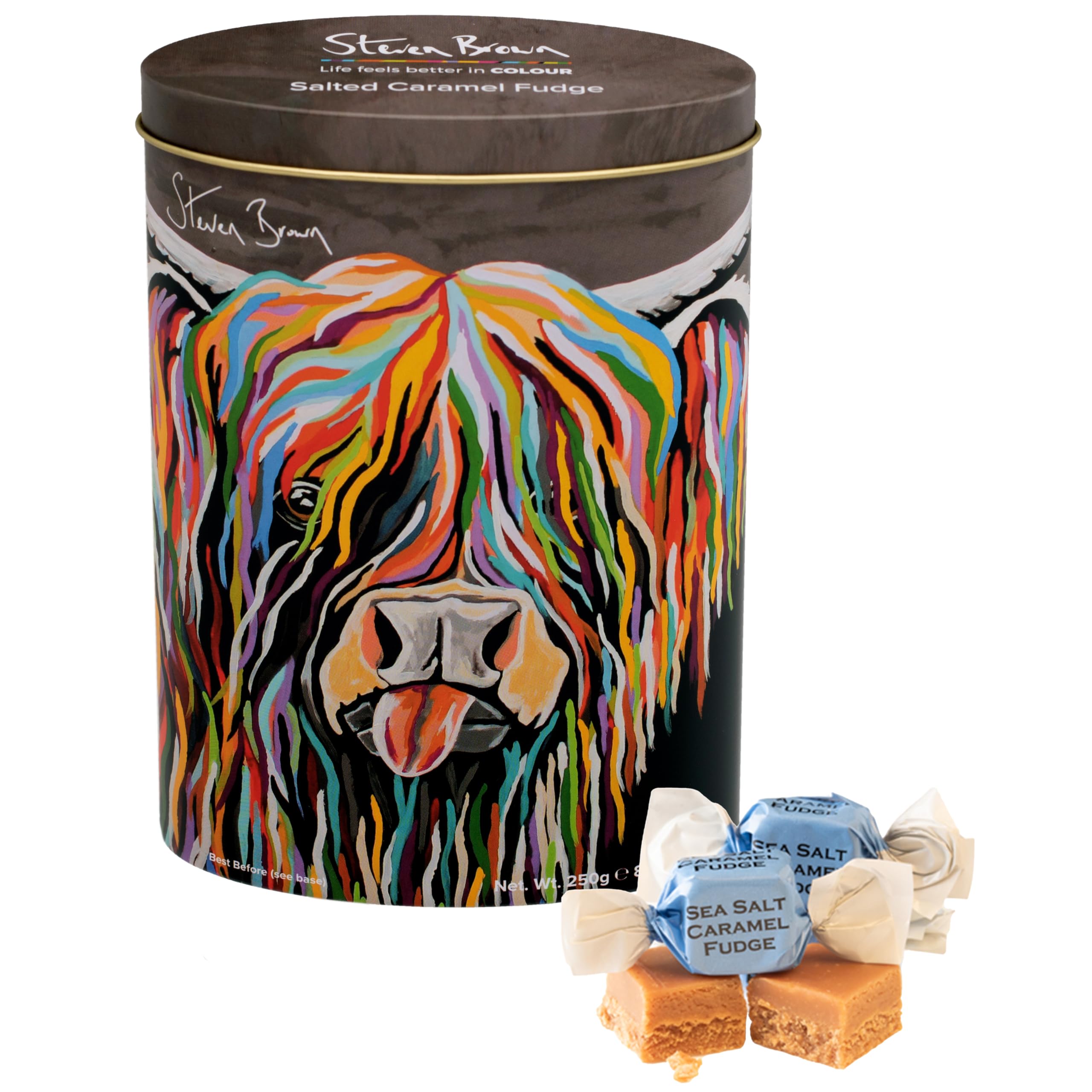 Gardiners of Scotland Senga McCoo Salted Caramel Fudge Oval Tin - 250g